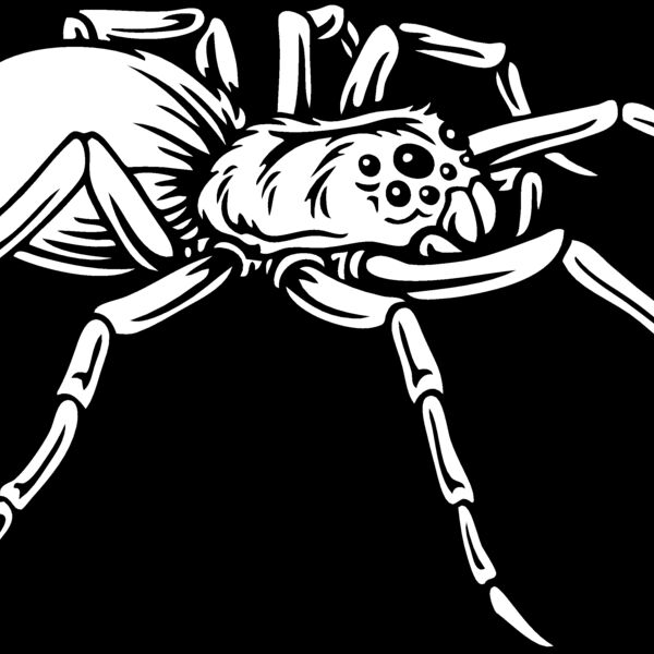 ES2spider001BW Thumbnail