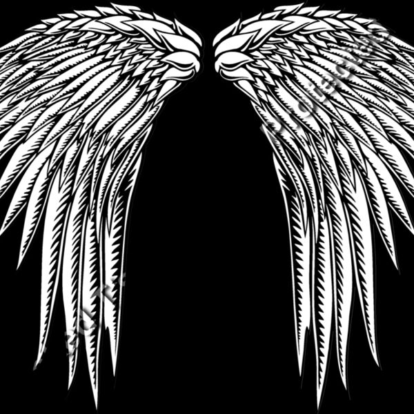 ES2wings014bw Thumbnail