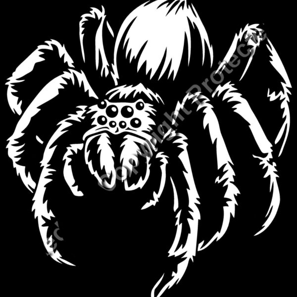 ES2spider005BW Thumbnail