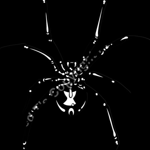 ES2spider002bw Thumbnail