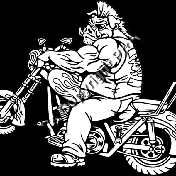 ES2hog004BW Thumbnail