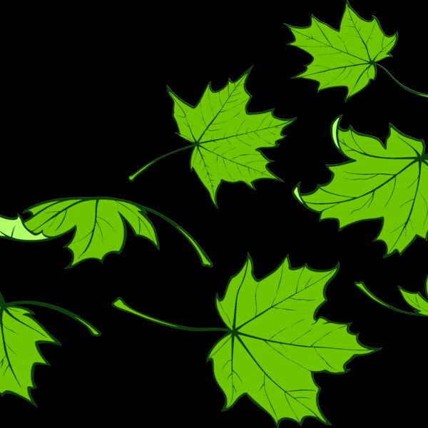 ES2leaves001clr Thumbnail