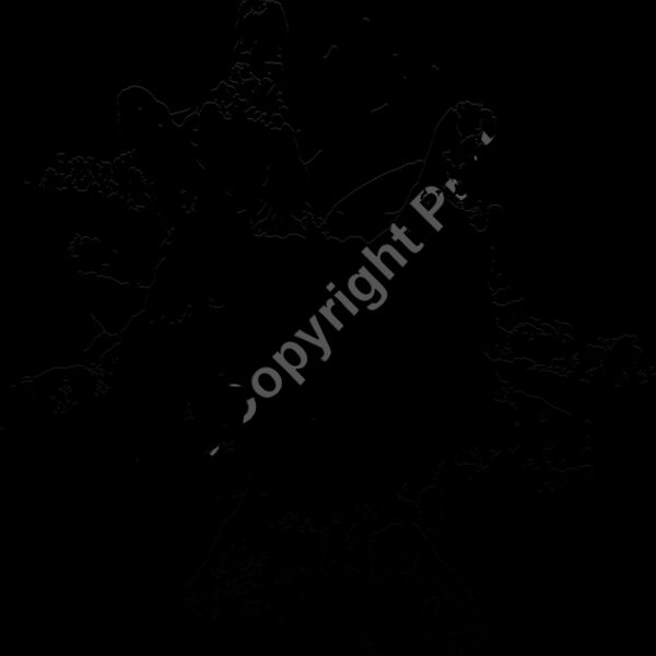 ES2splat005bw Thumbnail