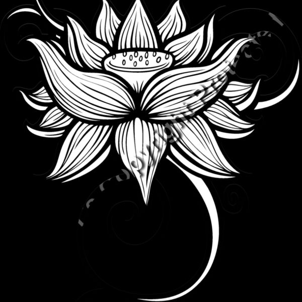 ES2flower003bw Thumbnail