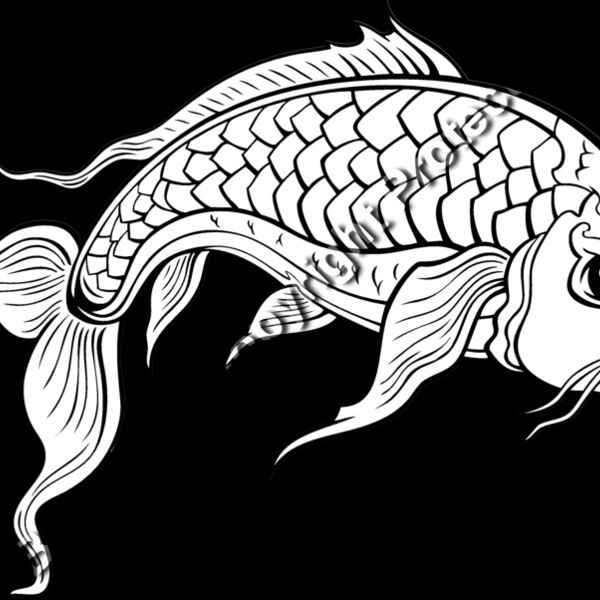 ES2asiankoi008BW Thumbnail