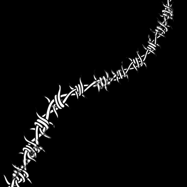 ES2barbwire003bw Thumbnail