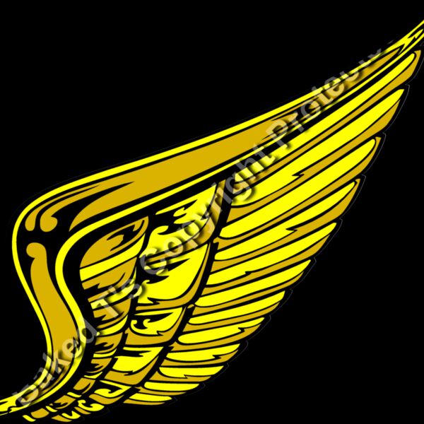 ES2wings008clr Thumbnail