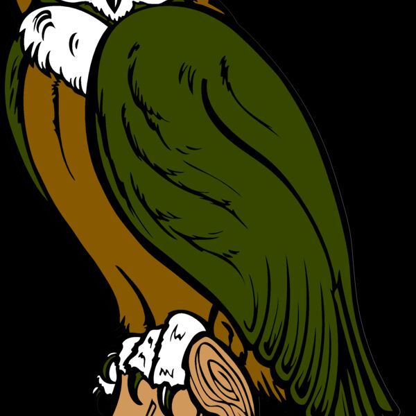 ES2owl002clr Thumbnail