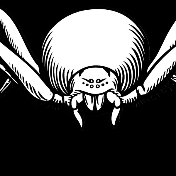 ES2spider007bw Thumbnail