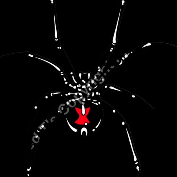 ES2spider002CLR Thumbnail