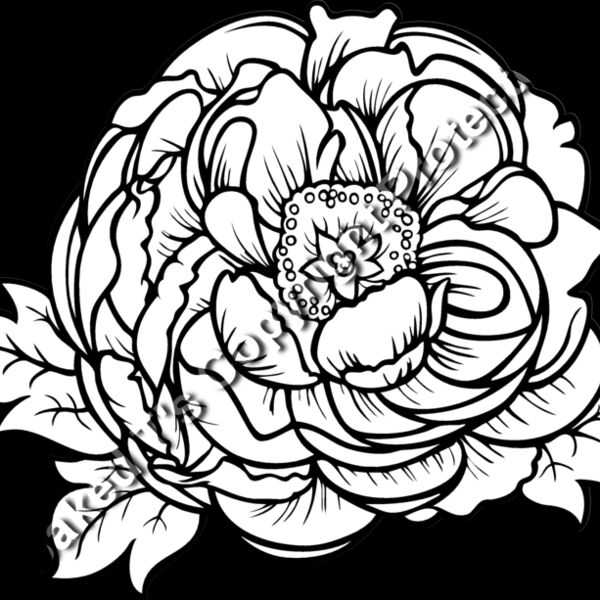 ES2flower002bw Thumbnail