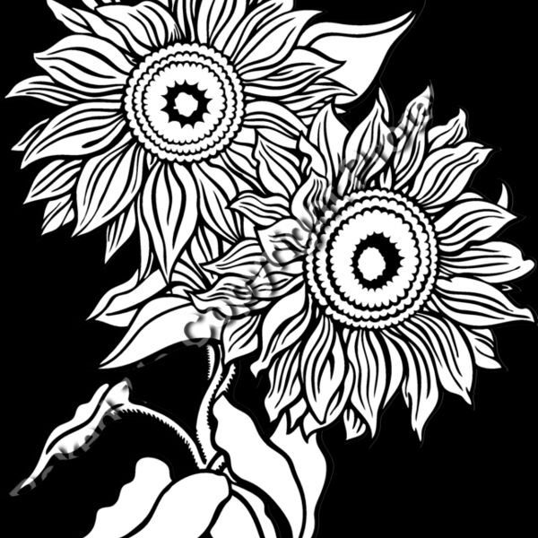 ES2flower006bw Thumbnail