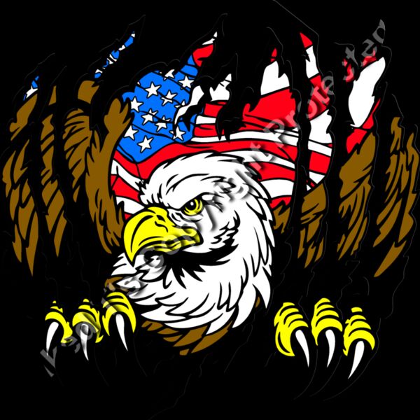 ES2eagle001CLR Thumbnail