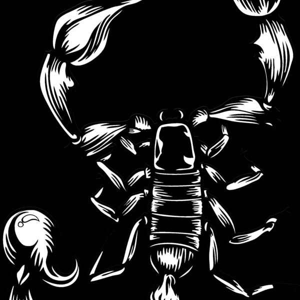 ES2scorpion001bw Thumbnail