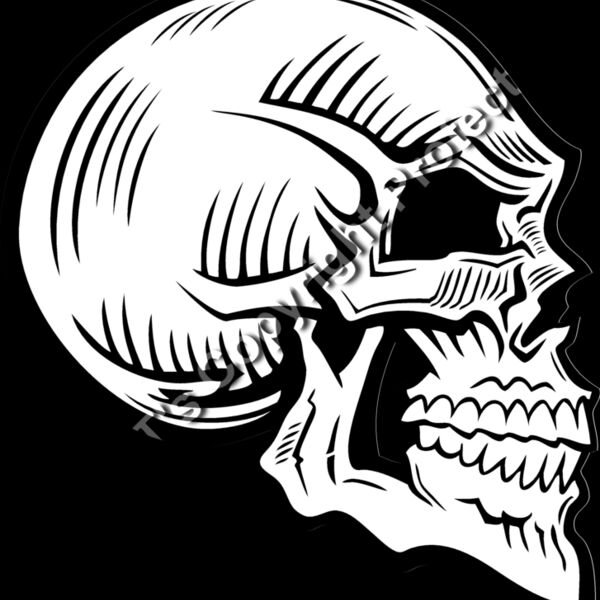 ES2skull025BW Thumbnail