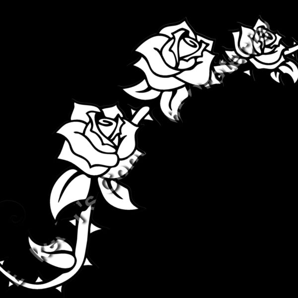 ES2rose005BW Thumbnail