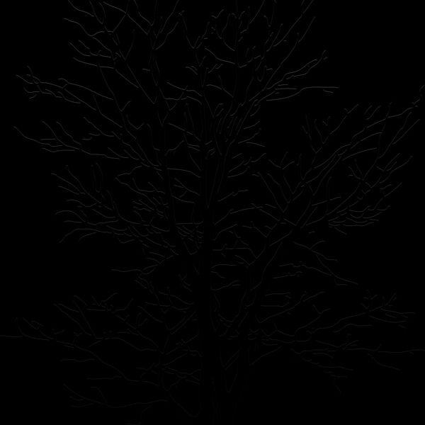 ES2tree007bw Thumbnail