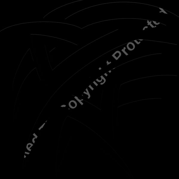 ES2tribal039BW Thumbnail