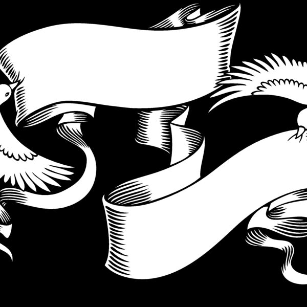 ES2dove002bw Thumbnail