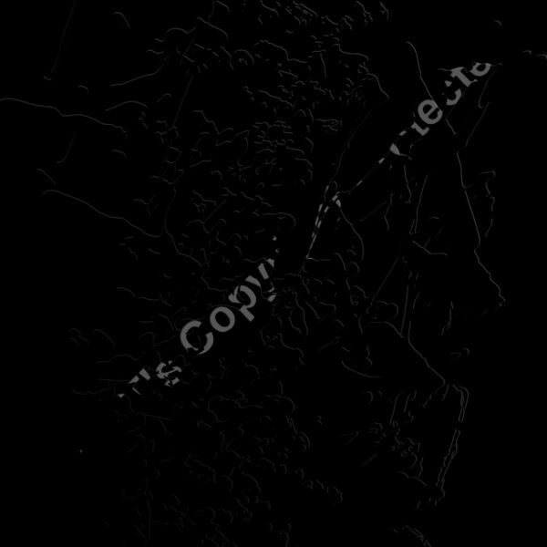 ES2splat015bw Thumbnail