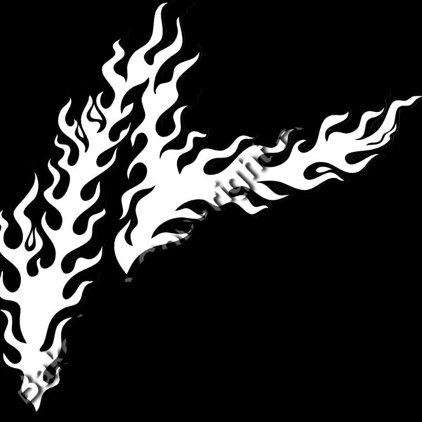 ES2flames011bw Thumbnail