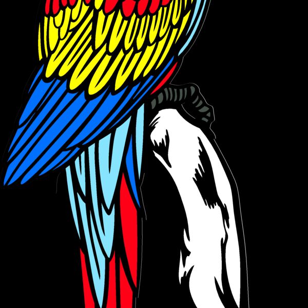 ES3parrot02clr Thumbnail