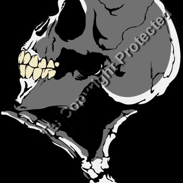 ES3bones05clr Thumbnail