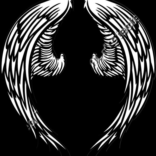 ES3wing06bw Thumbnail