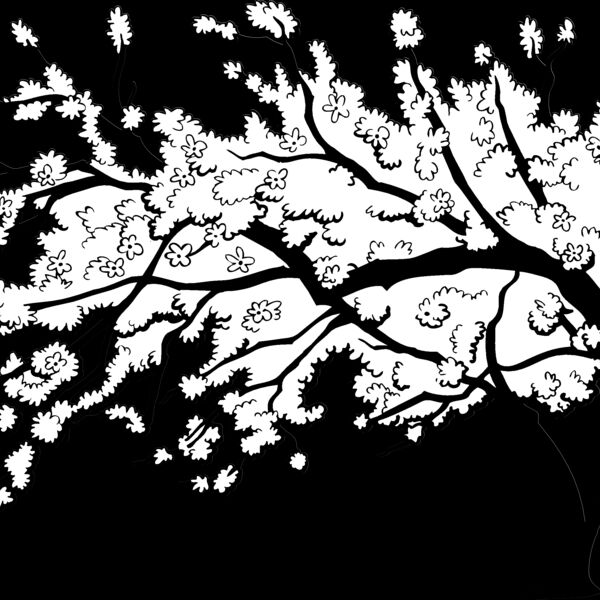 ES3cherryblsm01bw Thumbnail