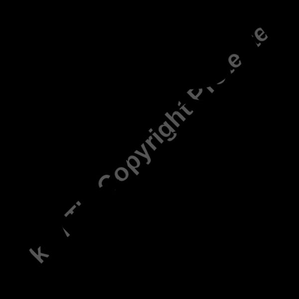 es3spider06bw Thumbnail