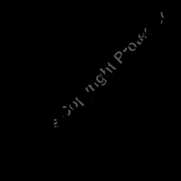 ES3tribal06bw Thumbnail