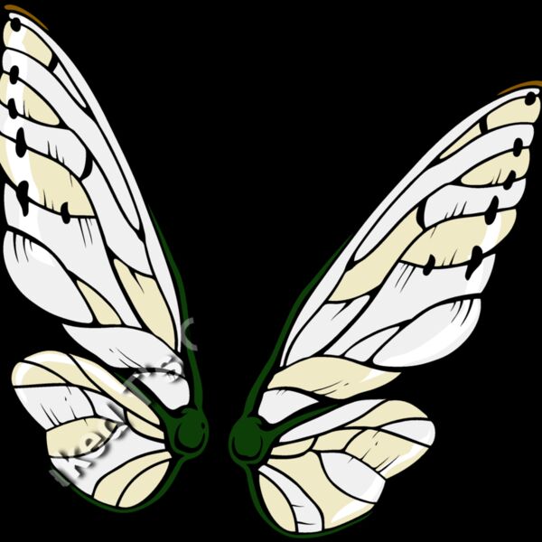 ES3wing04clr Thumbnail