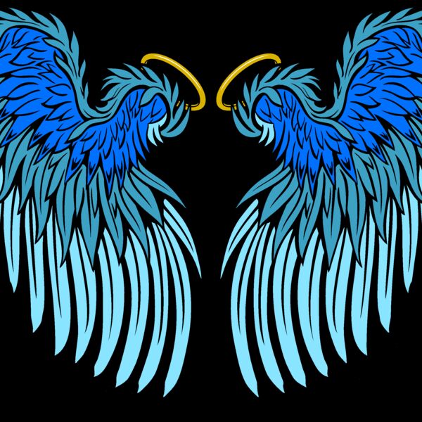 ES3wing25clr Thumbnail