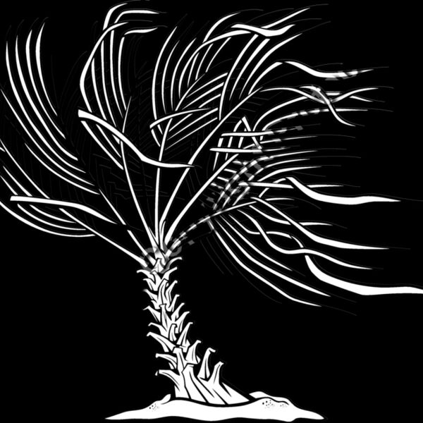 ES3tree12BW Thumbnail