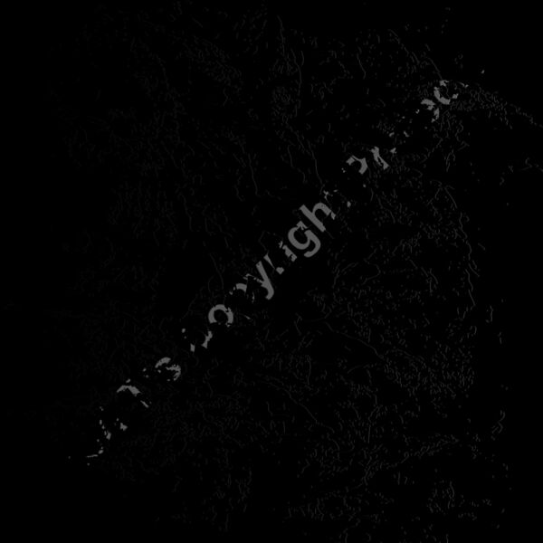 ES3splat06bw Thumbnail