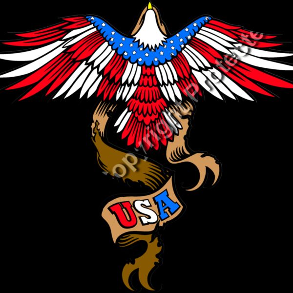 ES3patriotic07clr Thumbnail