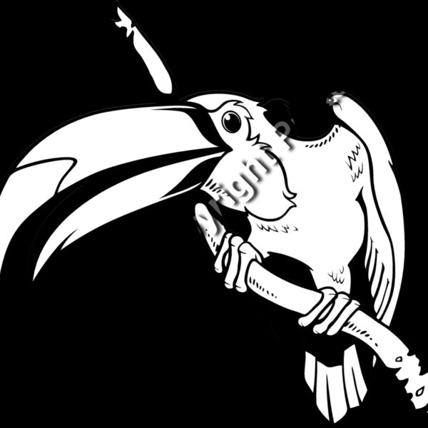 ES3toucan01bw Thumbnail