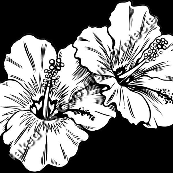 ES3tropical02bw Thumbnail