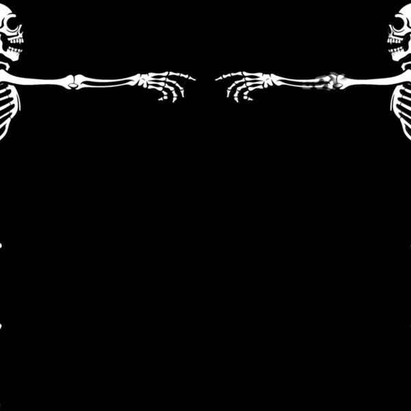 ES3bones04BW Thumbnail