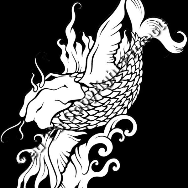 ES3asiankoi08bw Thumbnail