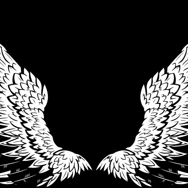 ES3wing10BW Thumbnail