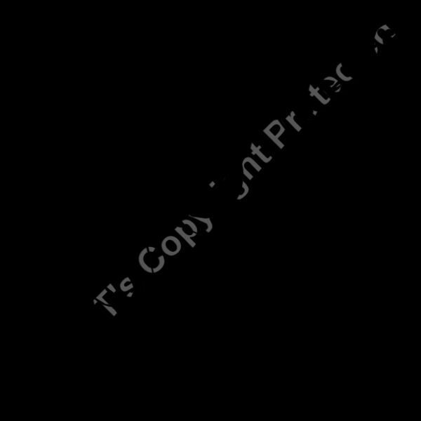 ES3tribal11bw Thumbnail