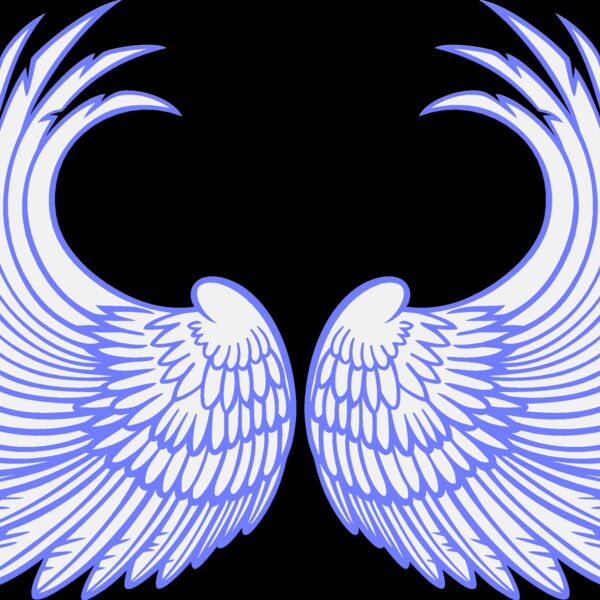 ES3wing03clr Thumbnail