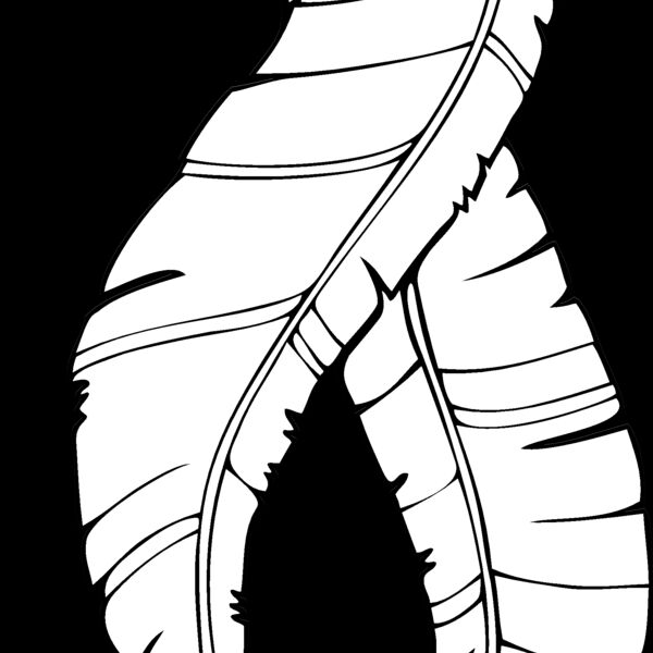 es3feathers02bw Thumbnail