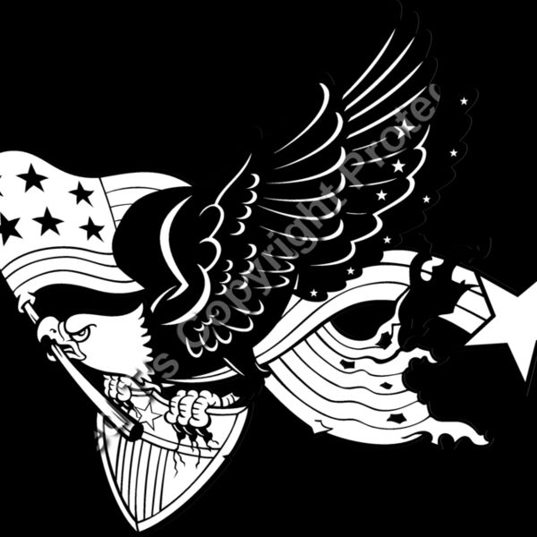 ES3patriotic05BW Thumbnail