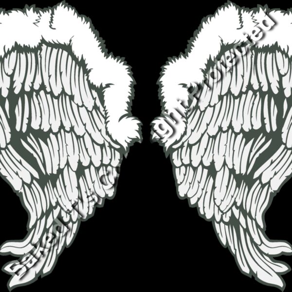 ES3wing26clr Thumbnail