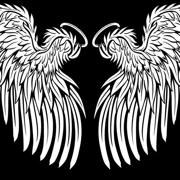 ES3wing25BW Thumbnail