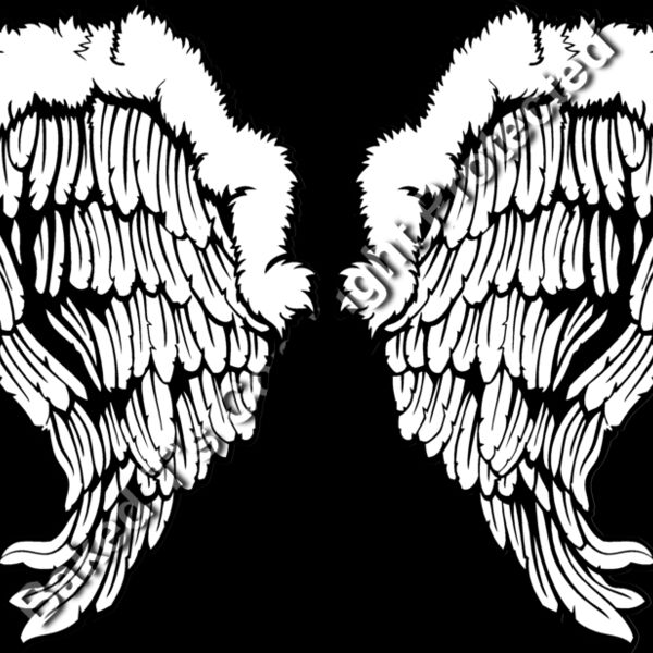 ES3wing26bw Thumbnail