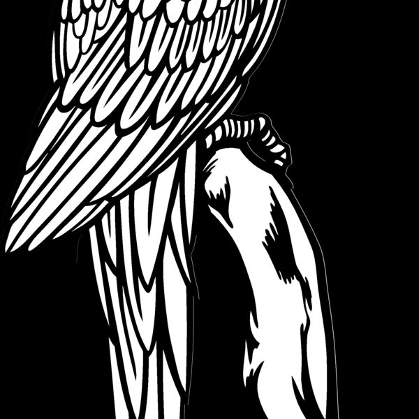 ES3parrot02bw Thumbnail