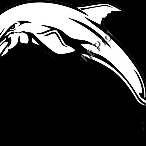 ES3dolphin03bw Thumbnail